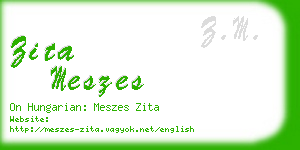 zita meszes business card